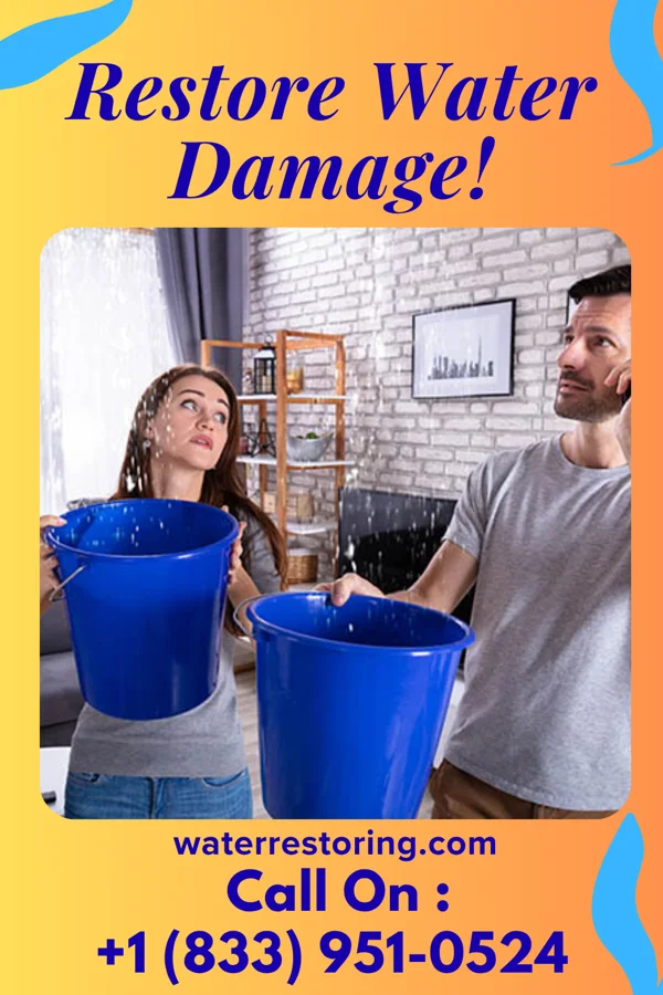 water restoration Pacific Water Removal Inc Jarrettsville
